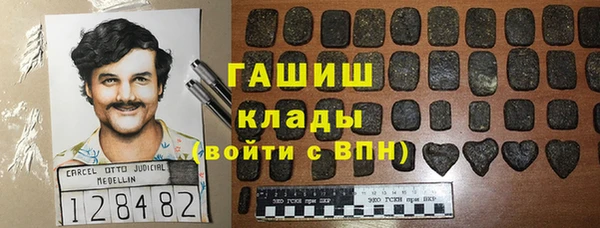 дмт Краснослободск