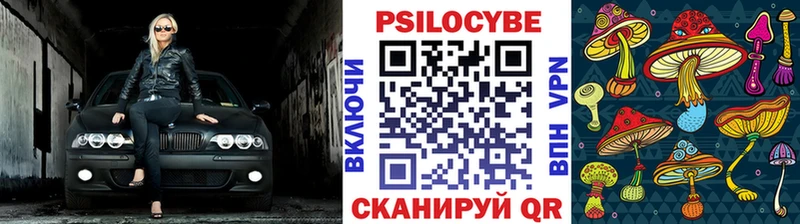 дарнет шоп  Чапаевск  Галлюциногенные грибы MAGIC MUSHROOMS 